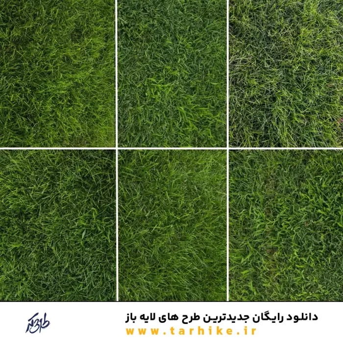 دانلود رایگان 30 عدد تکسچر چمن - طرحی که